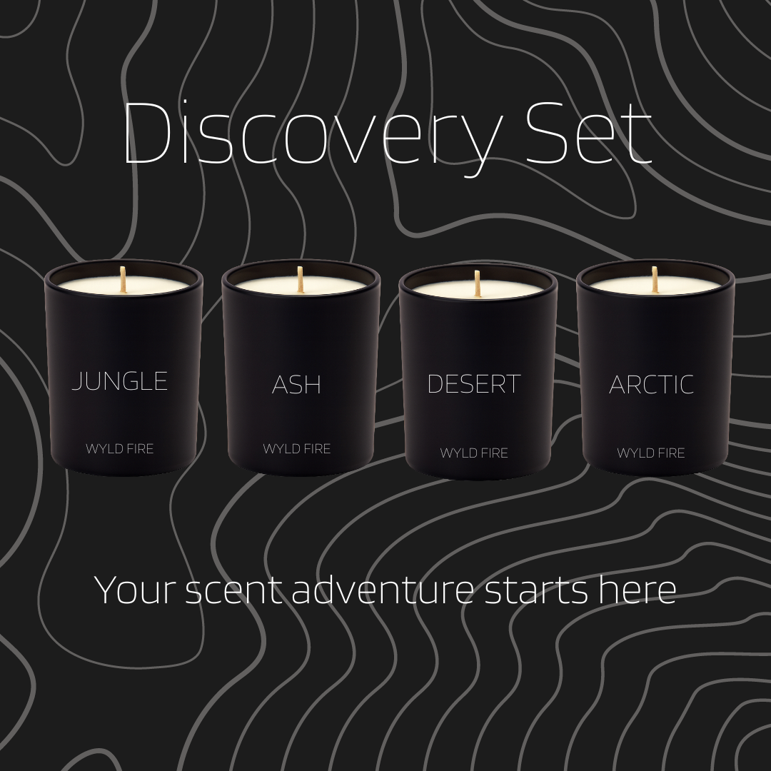 Wyld Fire Discovery Set